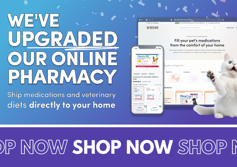 Carousel Slide 8: Shop our online pharmacy and store!